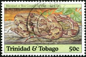 Stamp, Boa Constrictor (Boa constrictor), Trinidad and Tobago,  , Animals (Fauna), Reptiles, Snakes