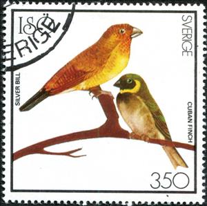 Stamp, Silver Bill and Cuban Finch, Cinderellas,  , Animals (Fauna), Birds
