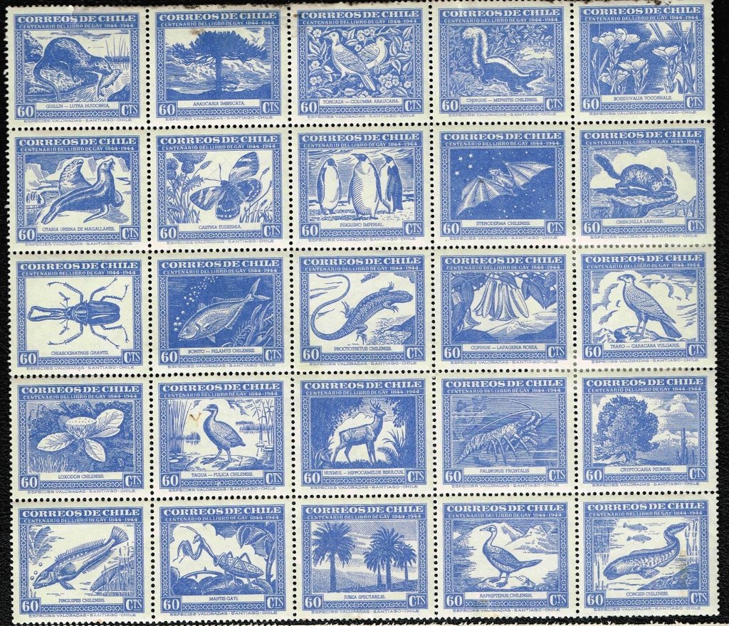 Natural History of Chile in Color Blue