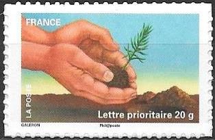Hand with seedling