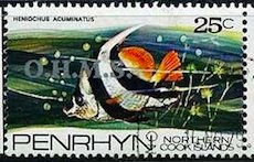 Stamp, Pennant Coralfish (Heniochus acuminatus), Penrhyn,  , Fishes
