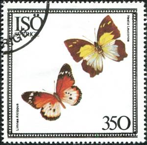 Stamp, Limnas alcippus, Hestia leuconoe, Cinderellas,  , Animals (Fauna), Butterflies, Insects