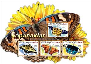 Mini Sheet, Butterflies, Cinderellas,  , Animals (Fauna), Butterflies, Insects