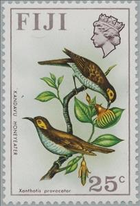 Stamp, Kandavu Honeyeater (Foulehaio provocator), Fiji,  , Animals (Fauna), Birds