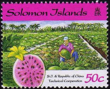 Water melon and cultivation