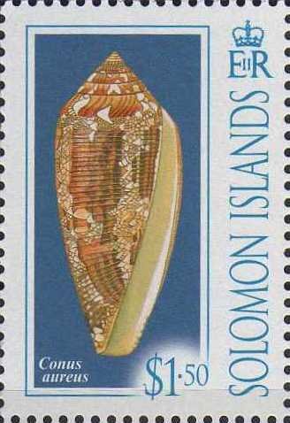 Conus aureus