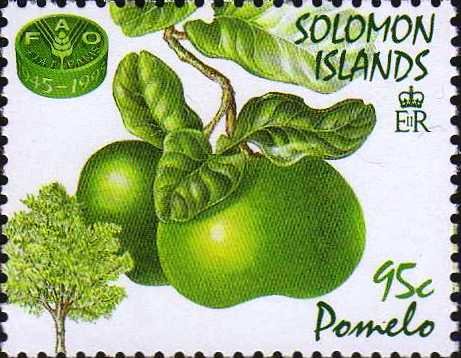 Pomelo