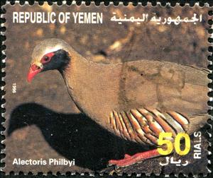 Stamp, Philby's Partridge (Alectoris philbyi), Yemen,  , Animals (Fauna), Birds
