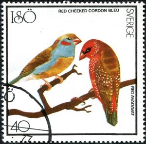 Stamp, Red Cheeked Cordon Bleu and Read Avadavat, Cinderellas,  , Animals (Fauna), Birds