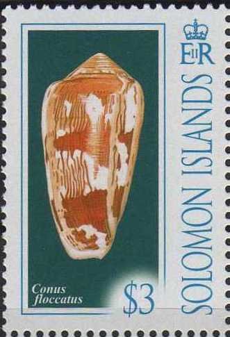 Conus flocatus