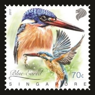 Kingfishers