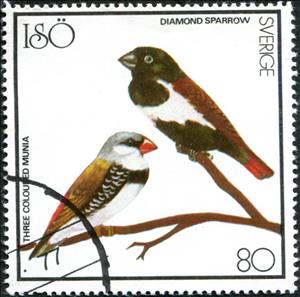 Stamp, Three Coloured Munia and Diamond Sparrow, Cinderellas,  , Animals (Fauna), Birds