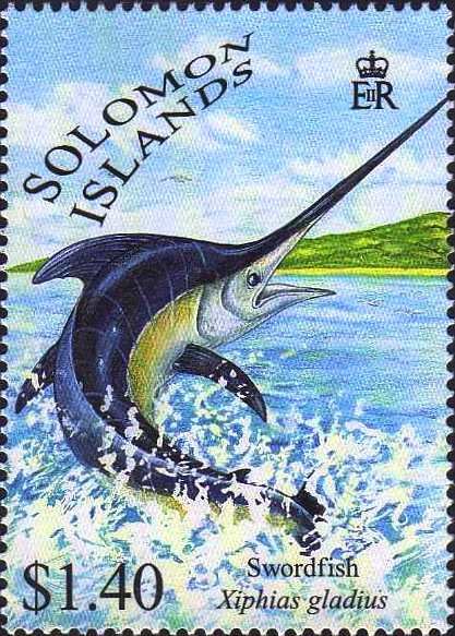 Swordfish