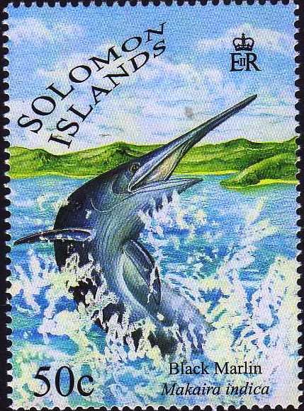 Black Marlin