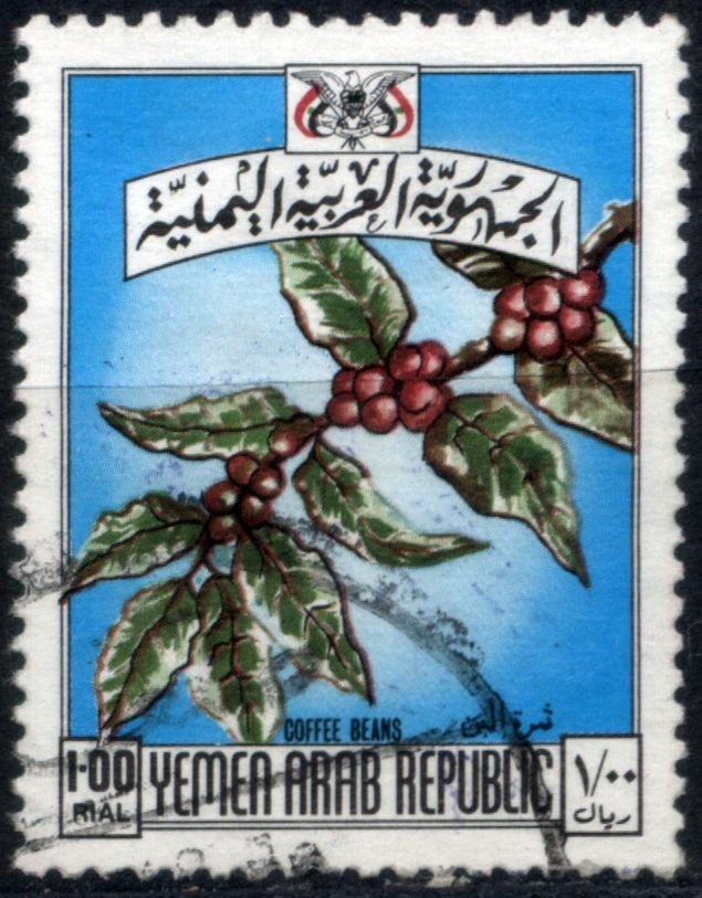 Coffee Beans