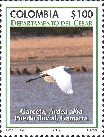 Egret, Ardea Alba - Puerto fluvial, Gamarra