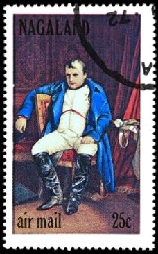 Napoleon Bonaparte 7