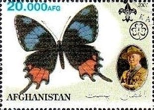 Butterflies