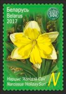 Stamp, Daffodil 'Holiday Sun', Belarus,  , Flowers, Plants (Flora)