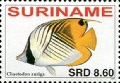 Stamp, Chaetodon auriga, Suriname,  , Animals (Fauna), Fishes, Sea Life