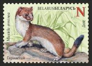Stamp, Stoat (Mustela erminaea), Belarus,  , Animals (Fauna), Mammals
