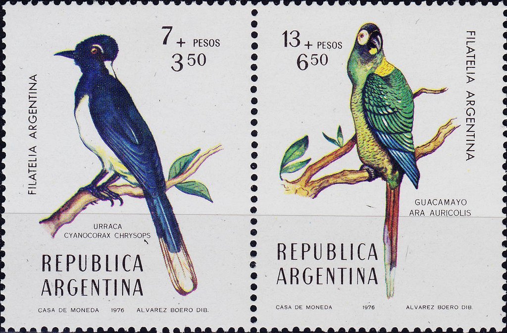 Birds 1976