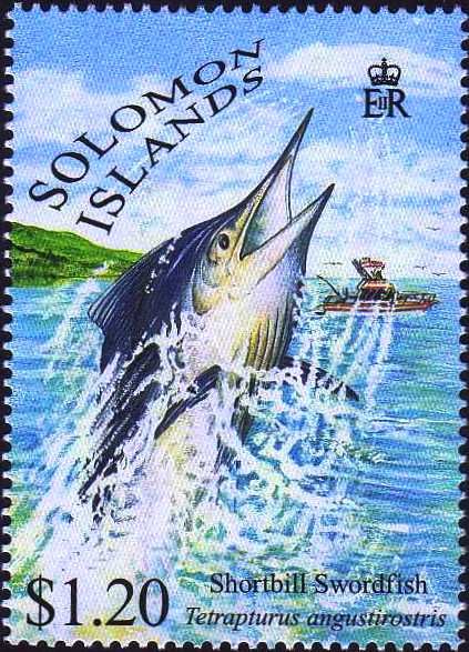 Shortbill swordfish