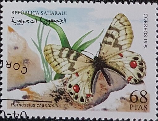 Parnassius Charitonius