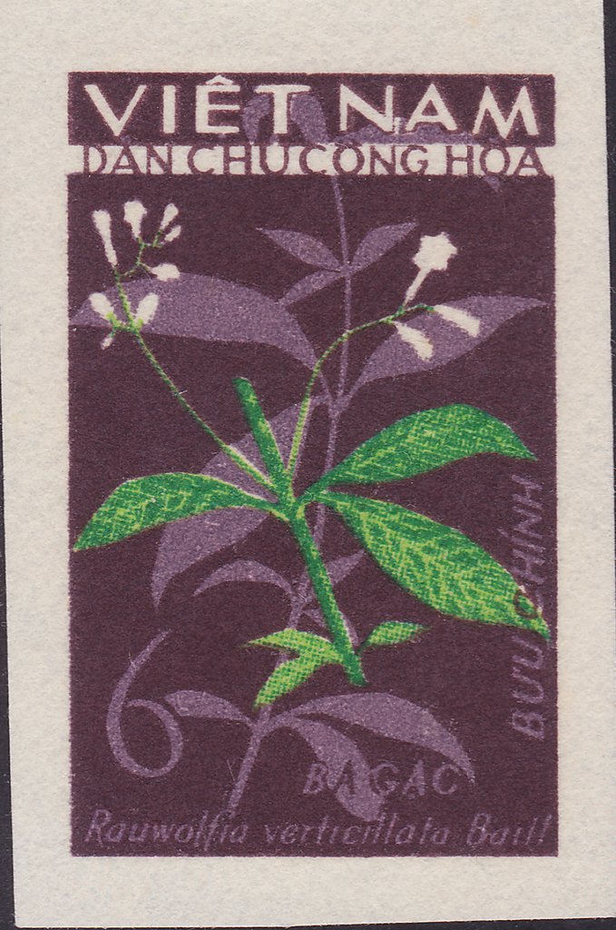 Rauwoffia Verticillata
