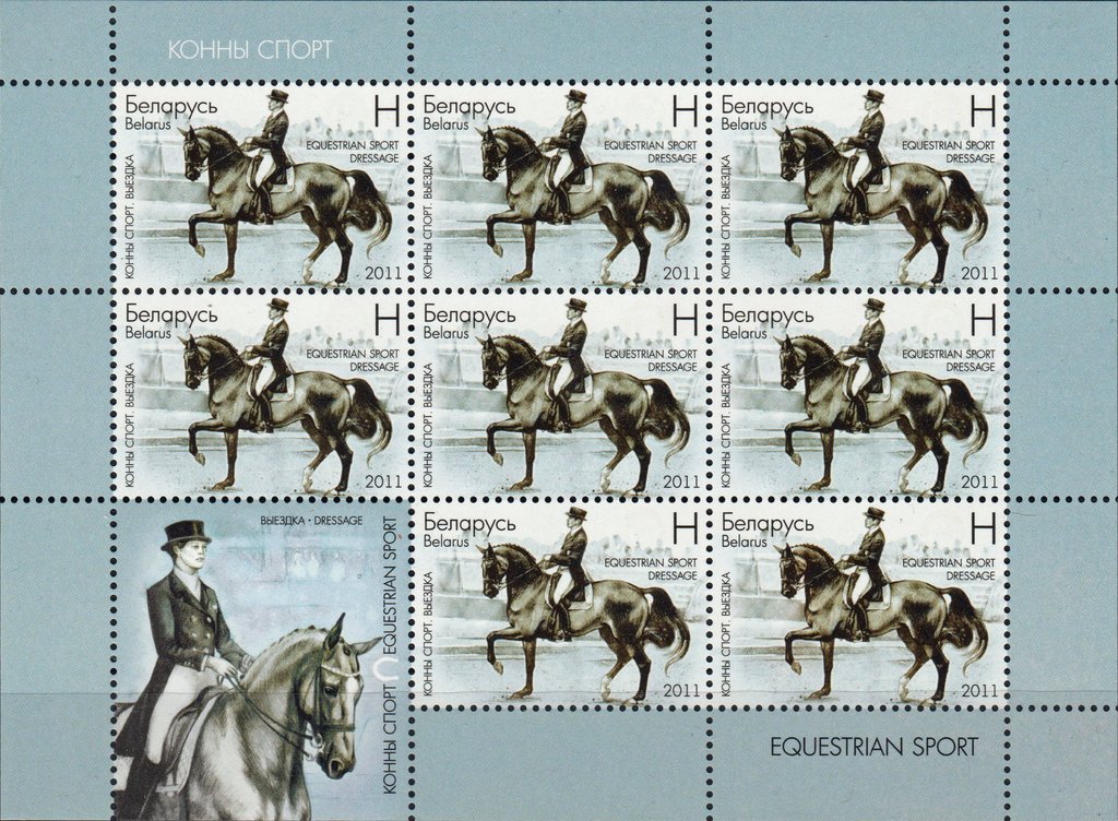 Dressage