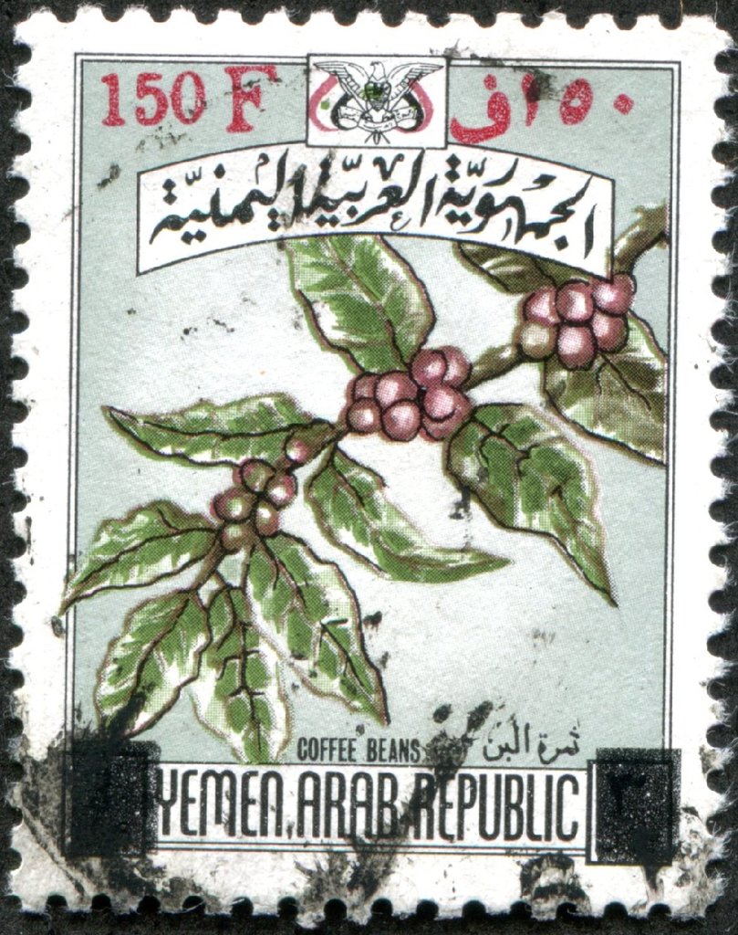 Branch of a coffee shrub