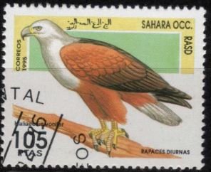 Stamp, Haliaectus Vocifer, Cinderellas,  , Birds