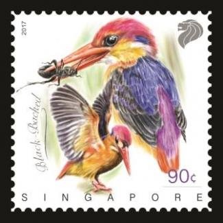 Kingfishers