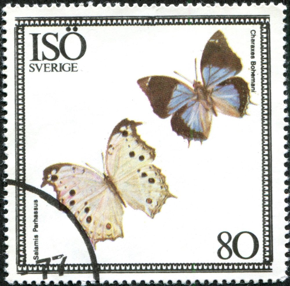 Salamis parhassus, Charaxes bohemani