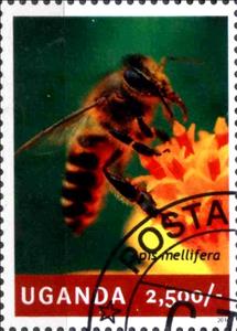 Stamp, Apis mellifera, Uganda,  , Insects