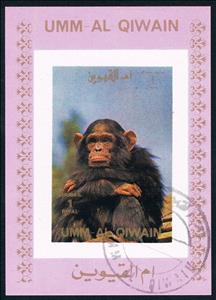 Souvenir Sheet, Chimpanzee (Pan troglodytes), Umm al-Qiwain,  , Animals (Fauna), Monkeys