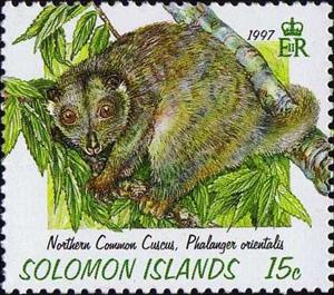 Stamp, Common Phalanger, Solomon Islands,  , Animals (Fauna), Mammals