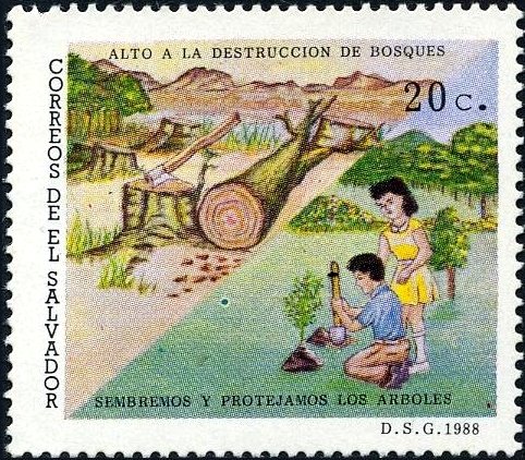 Nature and Environmental protection