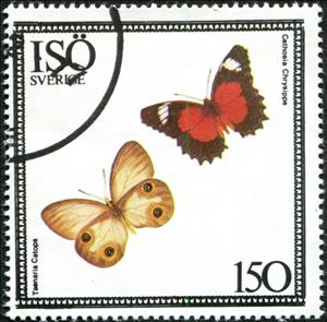 Stamp, Taenaris catops, Cethosia chrysippe, Cinderellas,  , Animals (Fauna), Butterflies, Insects