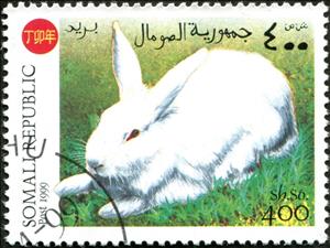 Stamp, Rabbits, Cinderellas,  , Animals (Fauna), Mammals, Rabbits