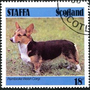 Stamp, Pembroke Welsh Corgi, Cinderellas,  , Animals (Fauna), Dogs