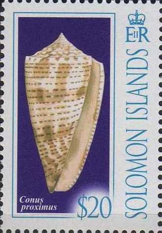 Conus proximus