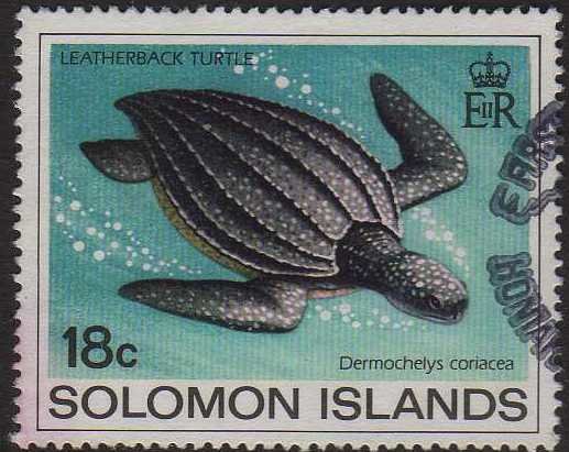 Leatherback