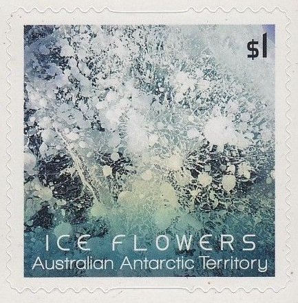 Light-blue Ice Flower
