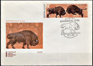 European Bison (Bison bonasus)