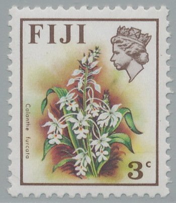 Calanthe furcata
