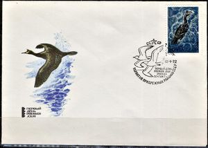 Phalacrocorax aristotelis