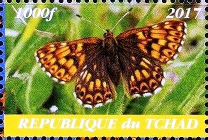 Stamp, Butterfly, Cinderellas,  , Butterflies