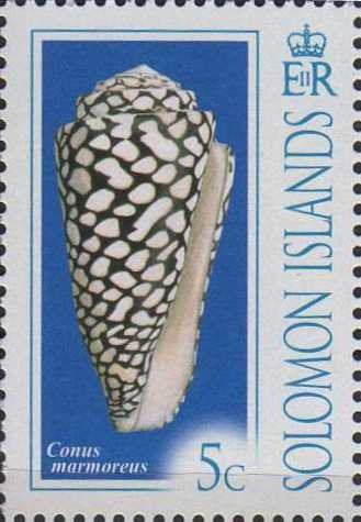 Conus marmoreus