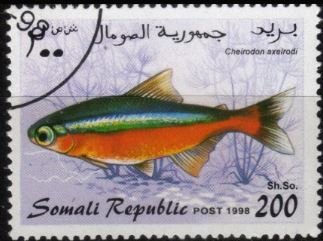 Stamp, Cheirodon Axelrodi, Cinderellas,  , Fishes